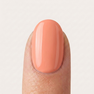 Polygel Pesca